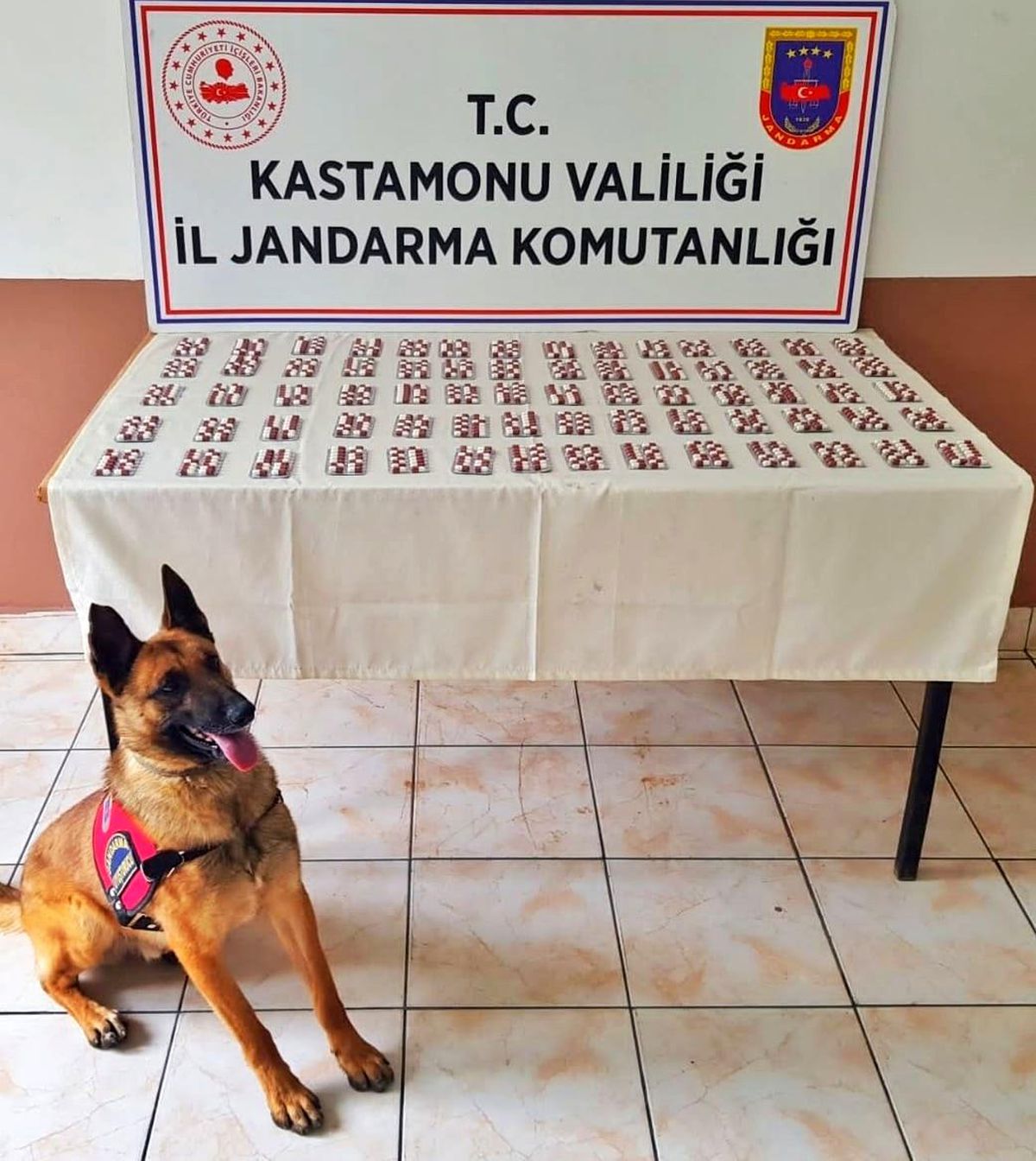 Kastamonu\'da 996 adet uyuşturucu hap ele geçirildi