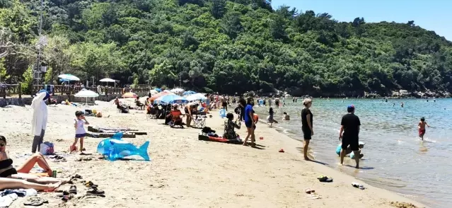 Kuşadası'nda plajlar doldu taştı