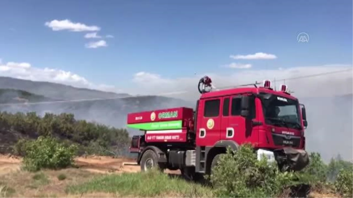 Son dakika haberi! Orman yangınında 9 dönüm alan zarar gördü