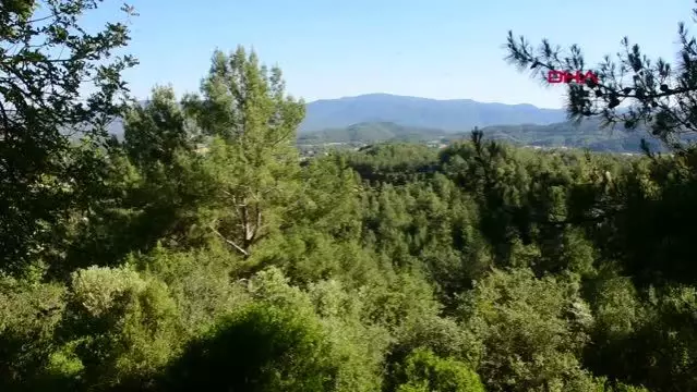 Orman yangınlarına karşı bidonlu önlem