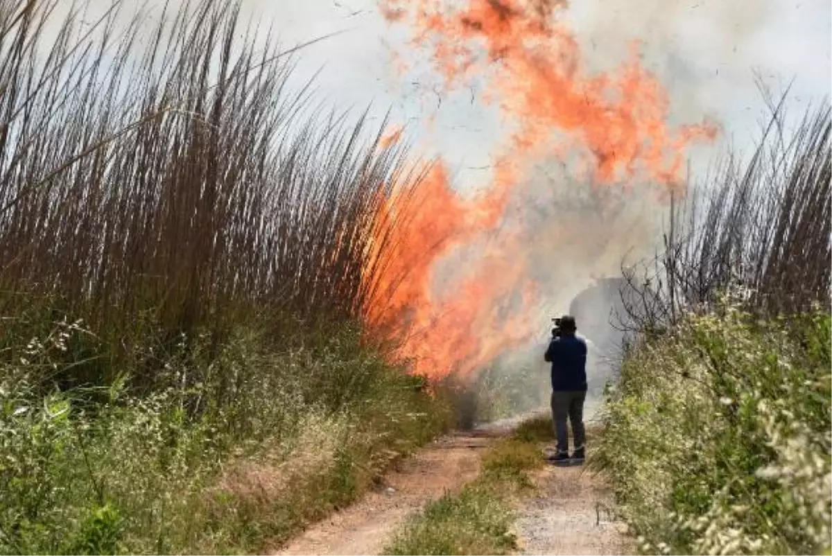 SAZLIKTAKİ YANGIN GÜÇLÜKLE SÖNDÜRÜLDÜ