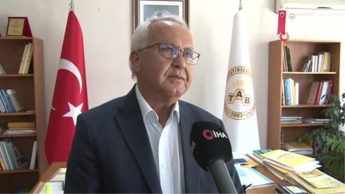 Türkiye Arıcılar Birliği Başkanı Şahin: "Eğer polinasyon olmazsa bizim ekosistemimiz çöker"