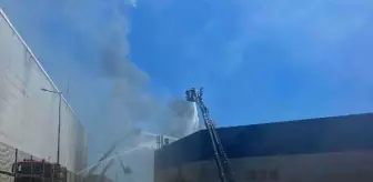 Tuzla'da lojistik firmasına ait deponun çatısında yangın