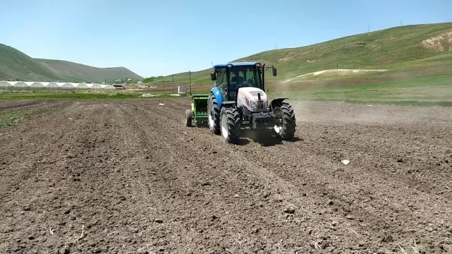 Çaldıran Belediyesinden nohut ekimi