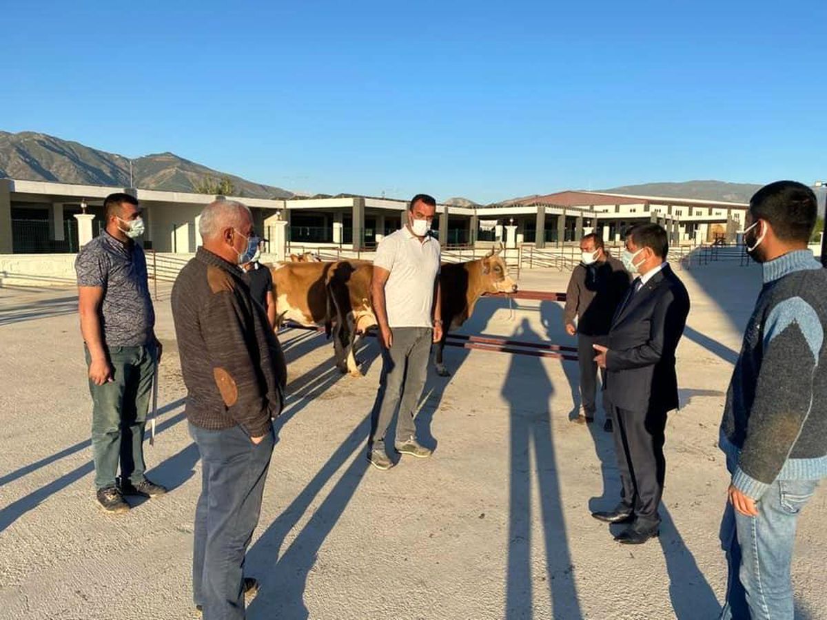 Erzincan\'da hayvan pazarı, tekrardan açıldı