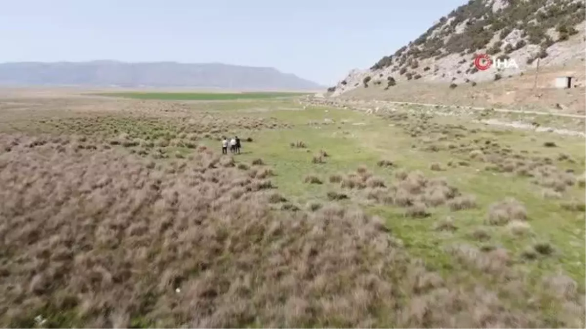 Göçmen kuşların uğrak yeri Beylerli Gölü kuraklığa yenildi