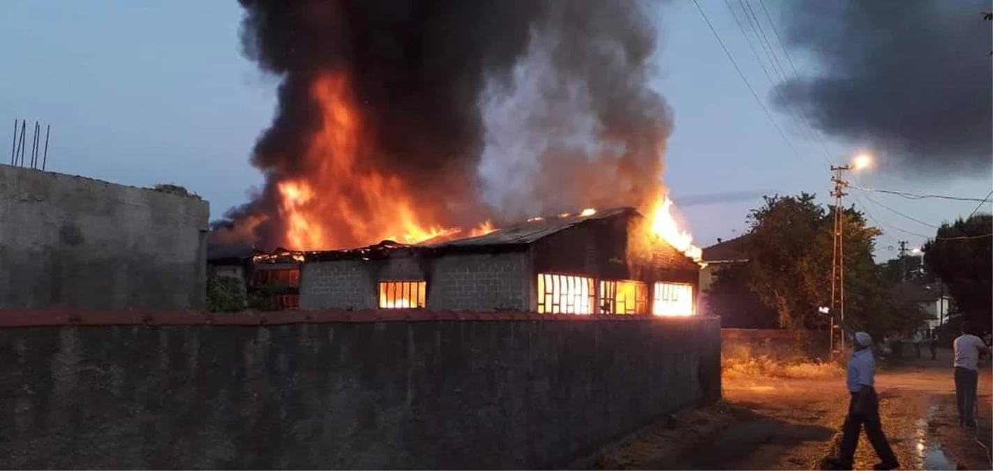 Son dakika haberi: İznik\'te kullanılmayan zeytinyağı fabrikasında çıkan yangın söndürüldü