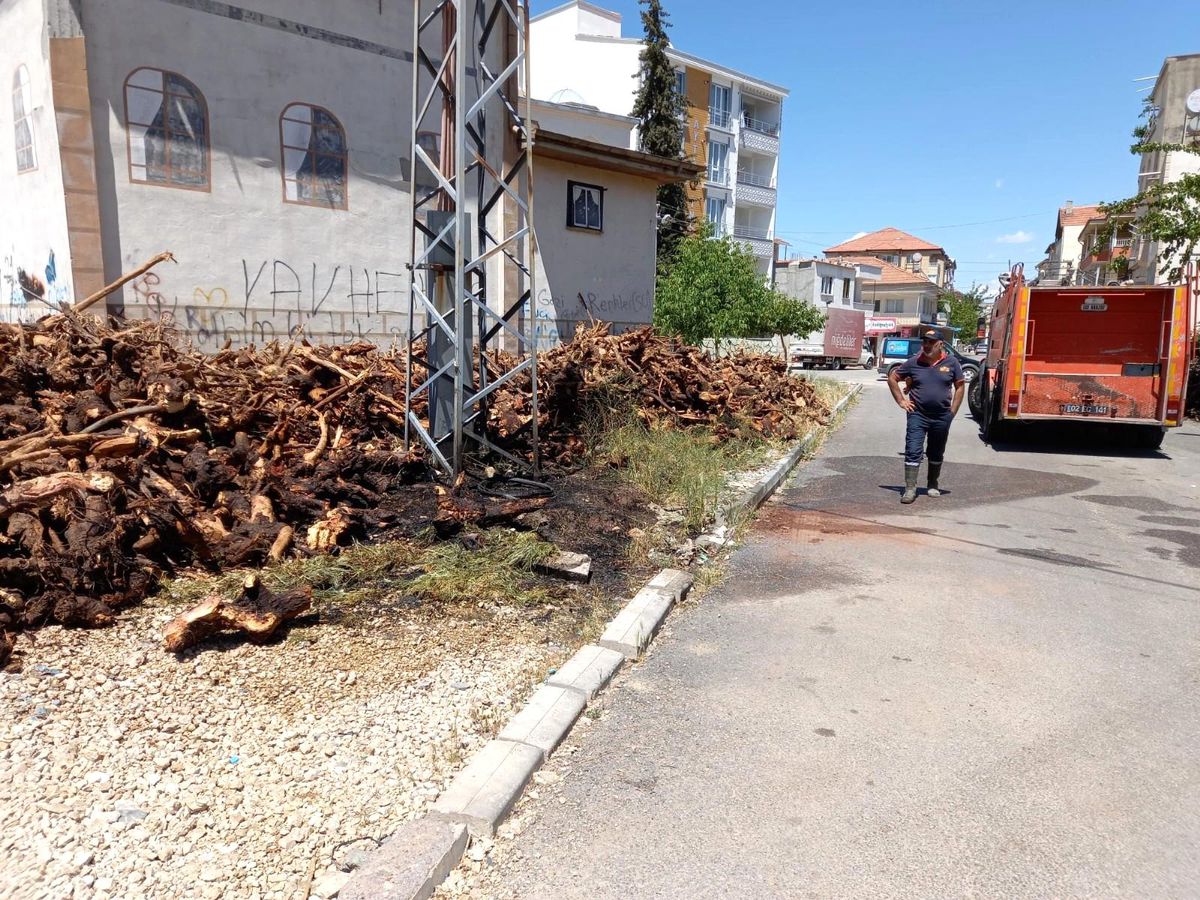 Kopan elektrik teli yangına neden oldu