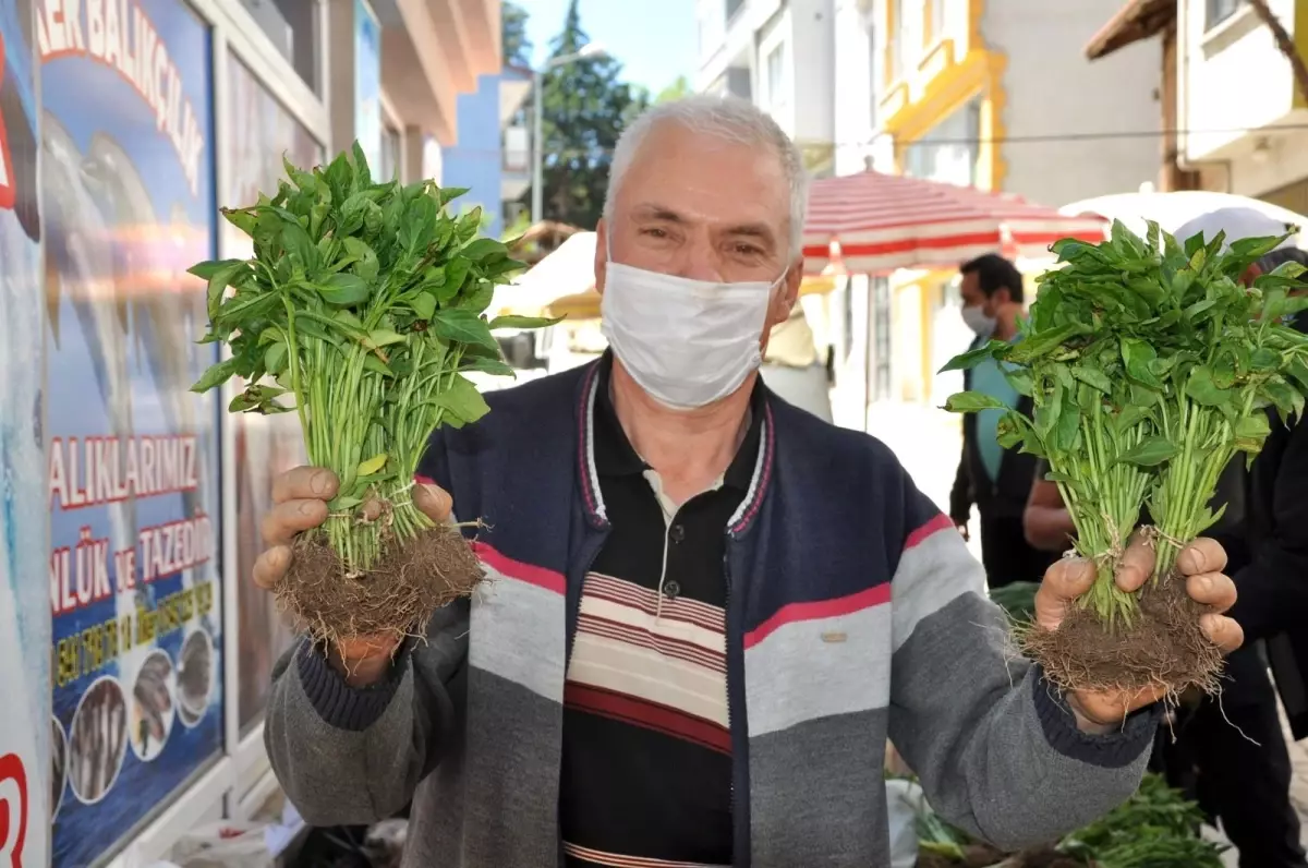 Organik fide pazarına yoğun ilgi