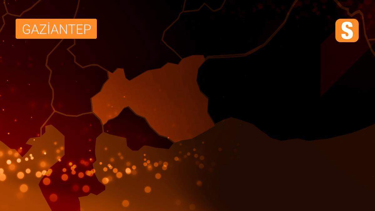 Osmaniye\'de otomobil ile tır çarpıştı: 2 kişi yaralı