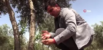 Şırnaklı çiftçilerden sulama barajı talebi