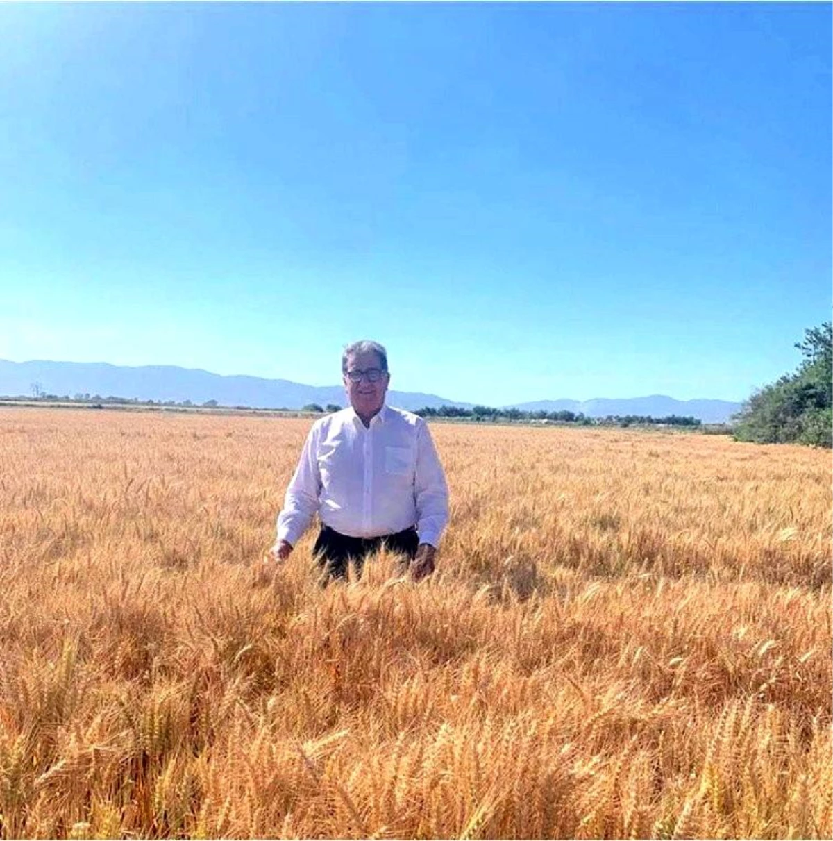 Söke Borsa Başkanı Nejat Sağel: "Buğday fiyatları sevindirdi"