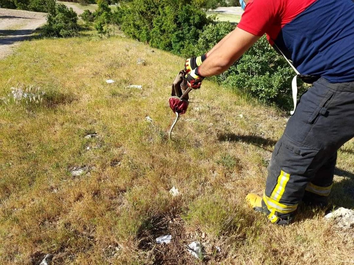 Son dakika haberi... Aracın motor kısmına saklanan yılan, itfaiyeye yakalandı