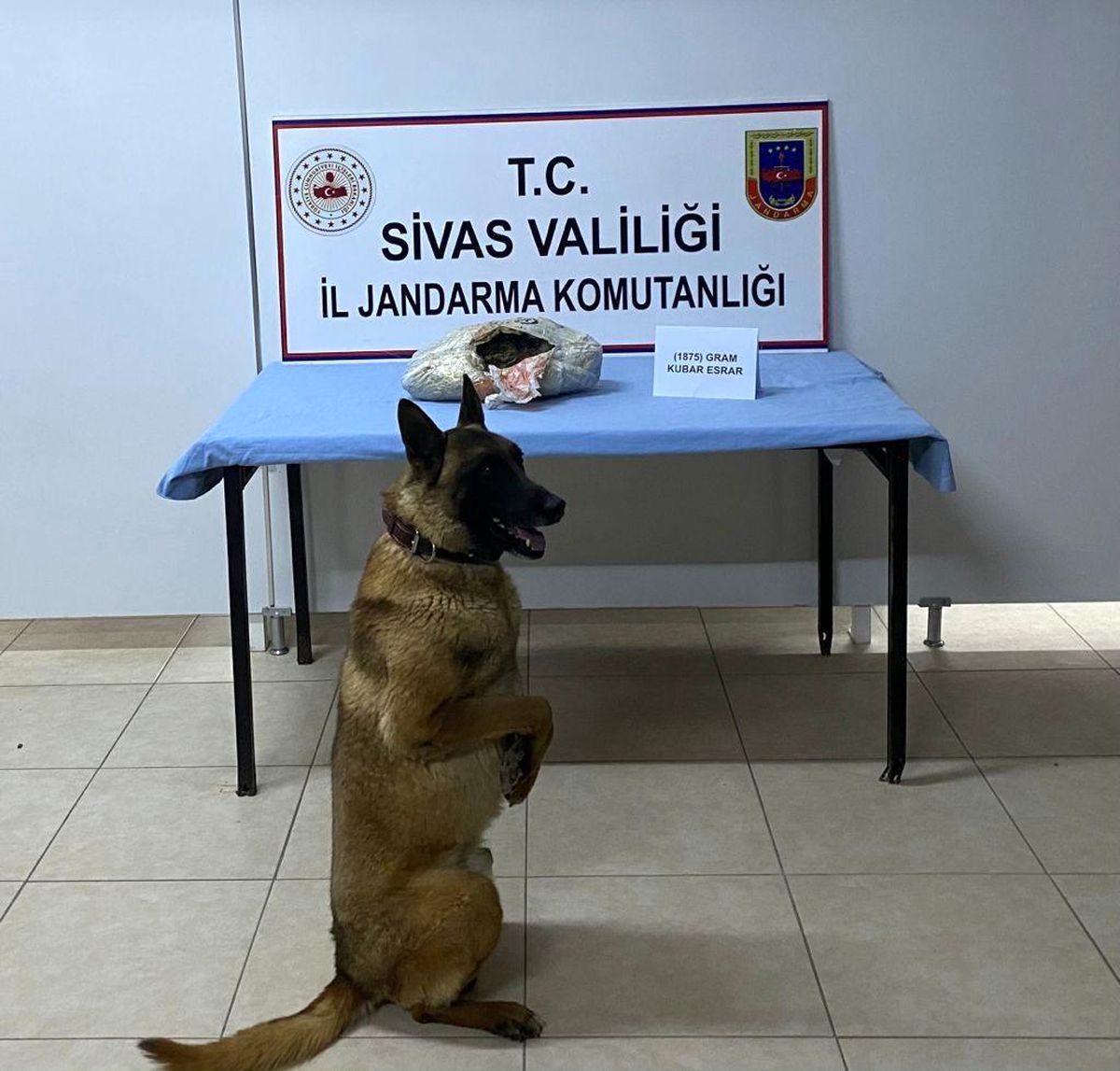 Buda yolcu beraberinde uyuşturucu