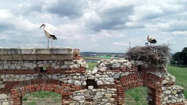 Edirne'de tarihi yapılar, leyleklere yuva oldu