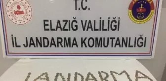 Elazığ'da 186 sikke ele geçirildi