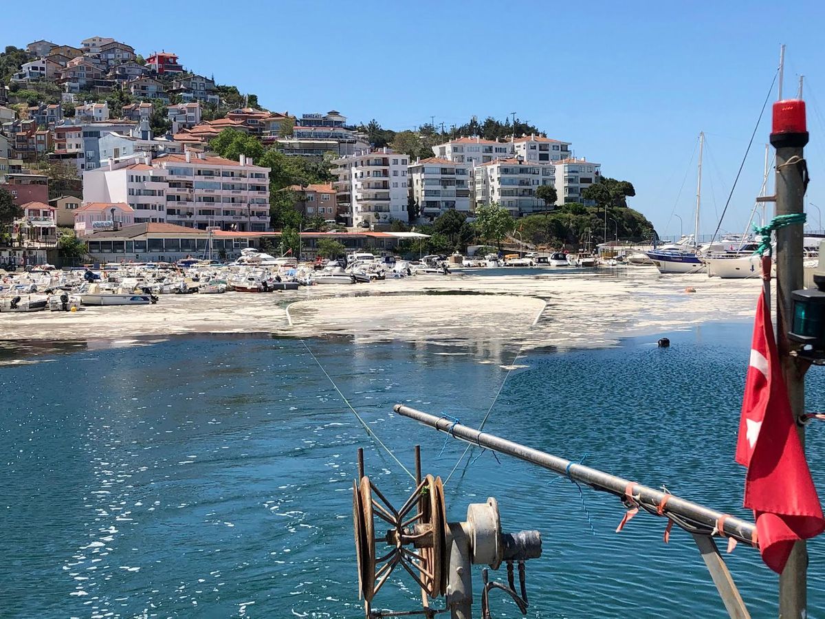 Marmara\'da deniz salyasına karşı ortak mücadele