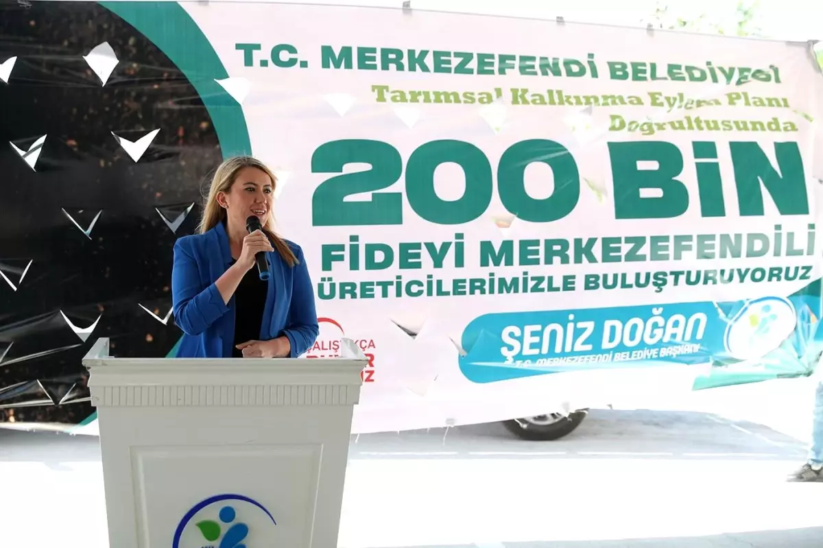 Merkezefendi Belediyesinden üreticiye 200 bin fide desteği