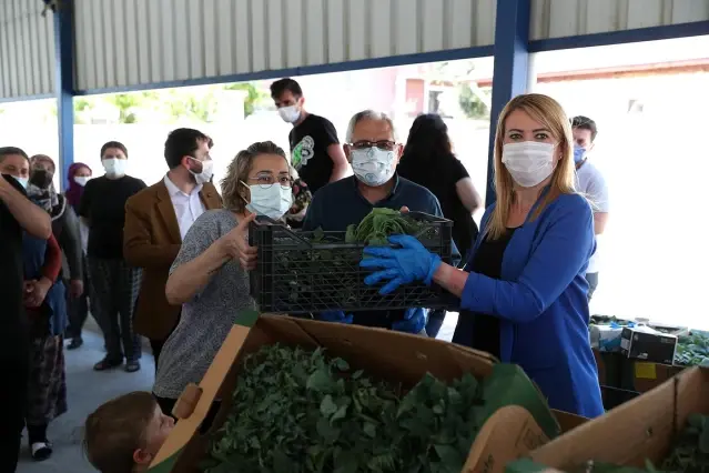 Merkezefendi Belediyesinden üreticiye 200 bin fide desteği