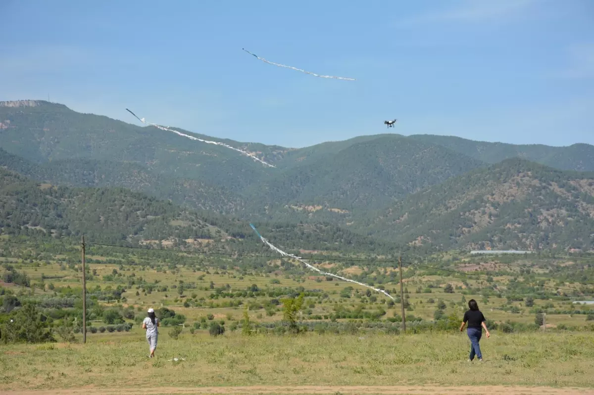 Mihalgazi\'de uçurma şenliği düzenlendi