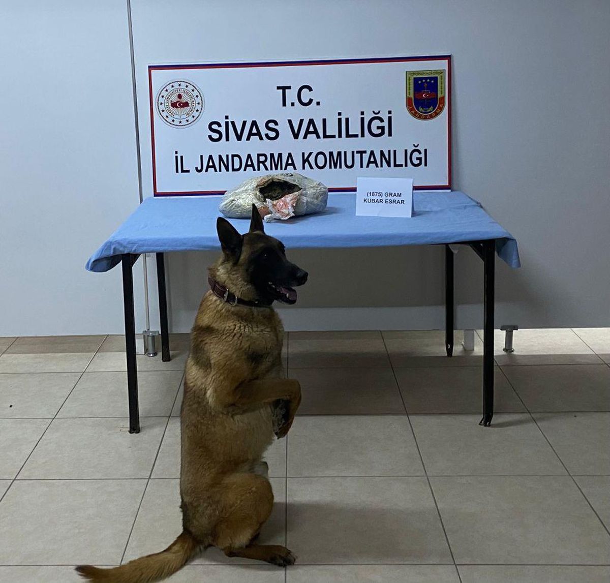 Sivas\'ta yolcu otobüsünde uyuşturucuyla yakalanan 3 kişi gözaltına alındı
