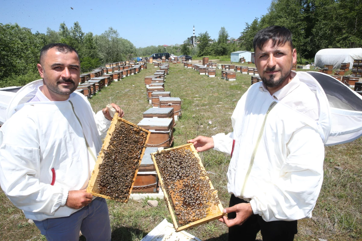 Baba mesleğini sürdüren kardeşler ana arı talebine yetişemiyor
