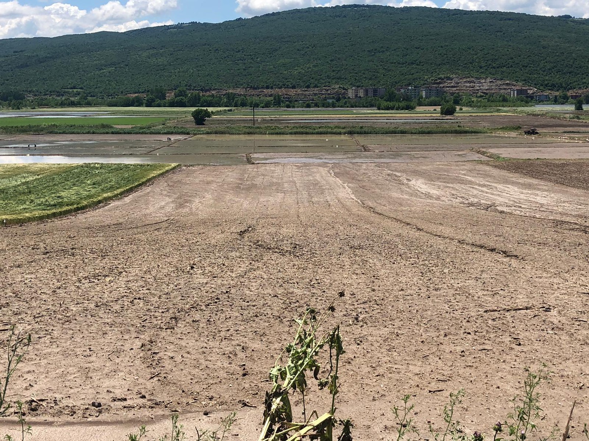 Balıkesir\'deki fırtınada tarım arazileri zarar gördü