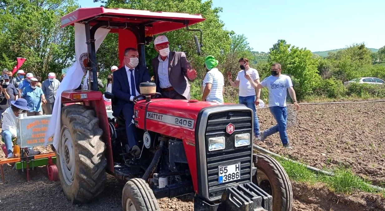 Başkan Özdemir traktörle nane dikimi yaptı