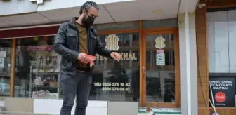 Bu otelin müşterilerini kediler karşılıyor