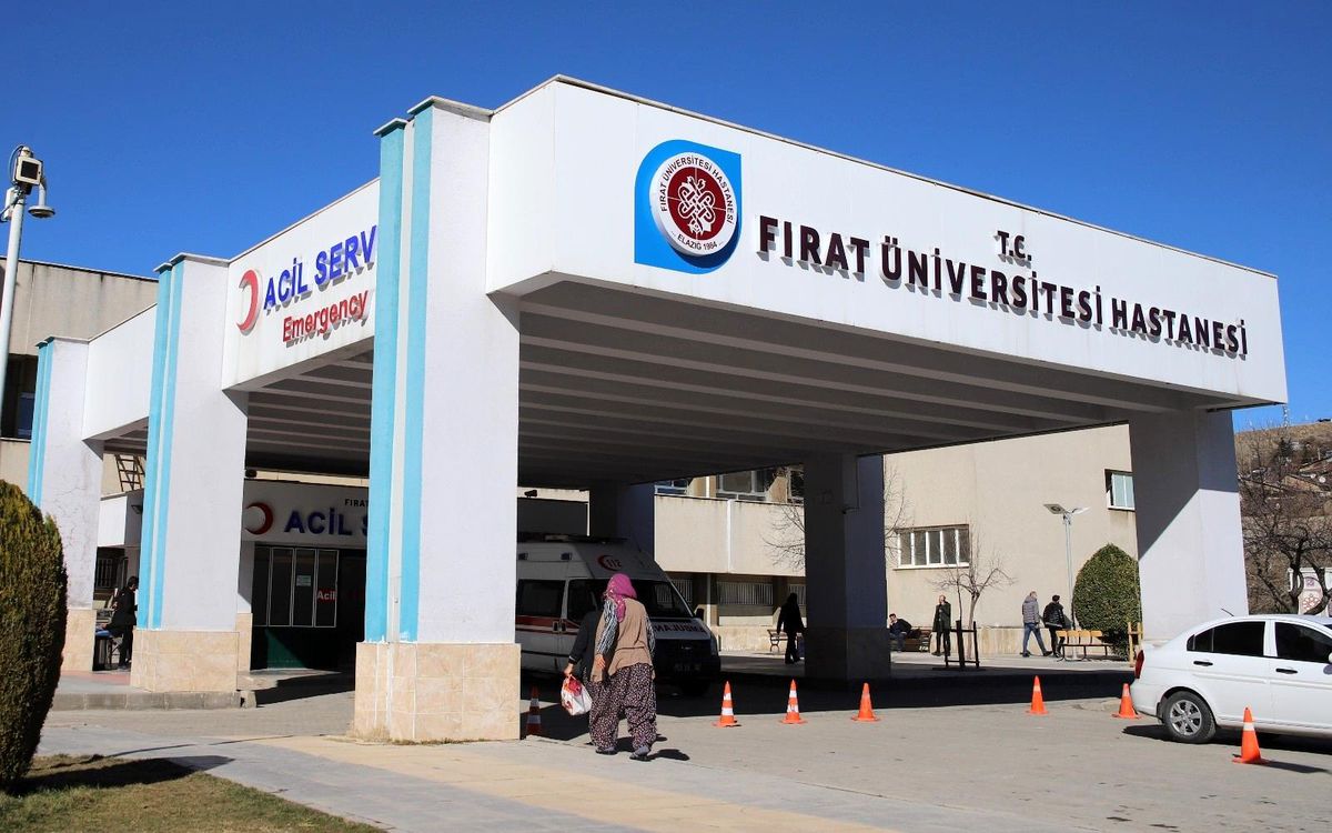 Eşek, çocuğun kafasını ısırdı
