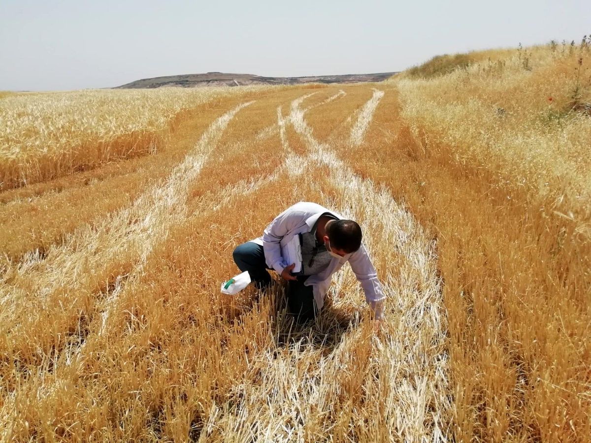 Hububat hasadı yapan biçer döverler denetlendi
