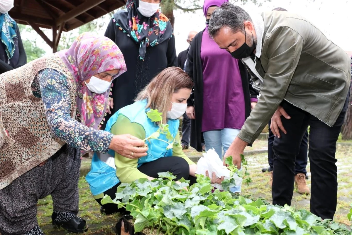 İzmit köylülerine 144 bin hibe fide