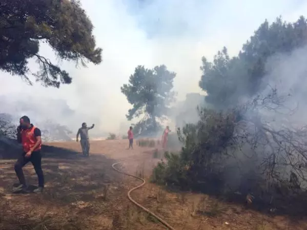 Nitelikli doğal koruma alanı Lara ormanında yangın (1)