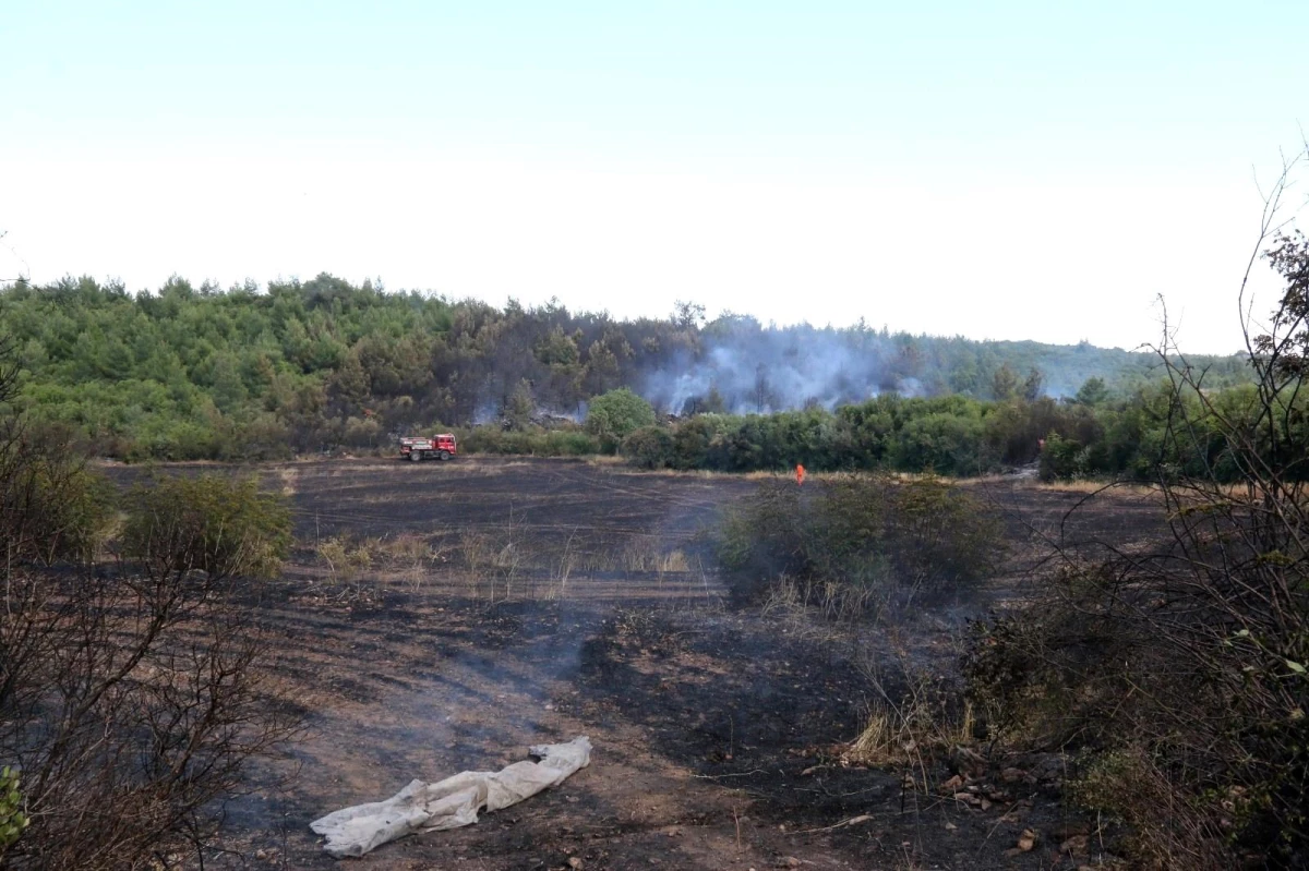 Son dakika haberi | Ormanlık alanda çıkan yangın 10 dönüm arpa ekili alanı küle çevirdi