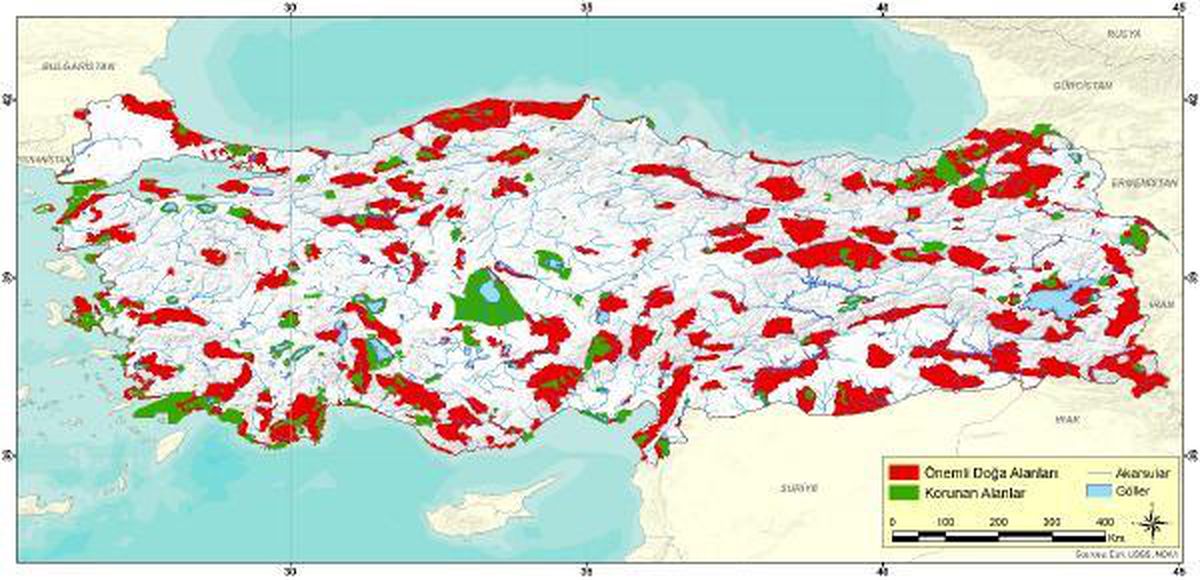 WWF-Türkiye Doğa Koruma Direktörü: Atacağımız büyük adımlarla örnek olabiliriz