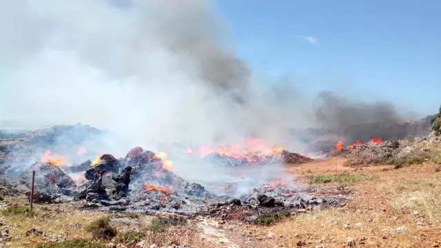 Son dakika haber | Antalya'da makilik alandaki yangın