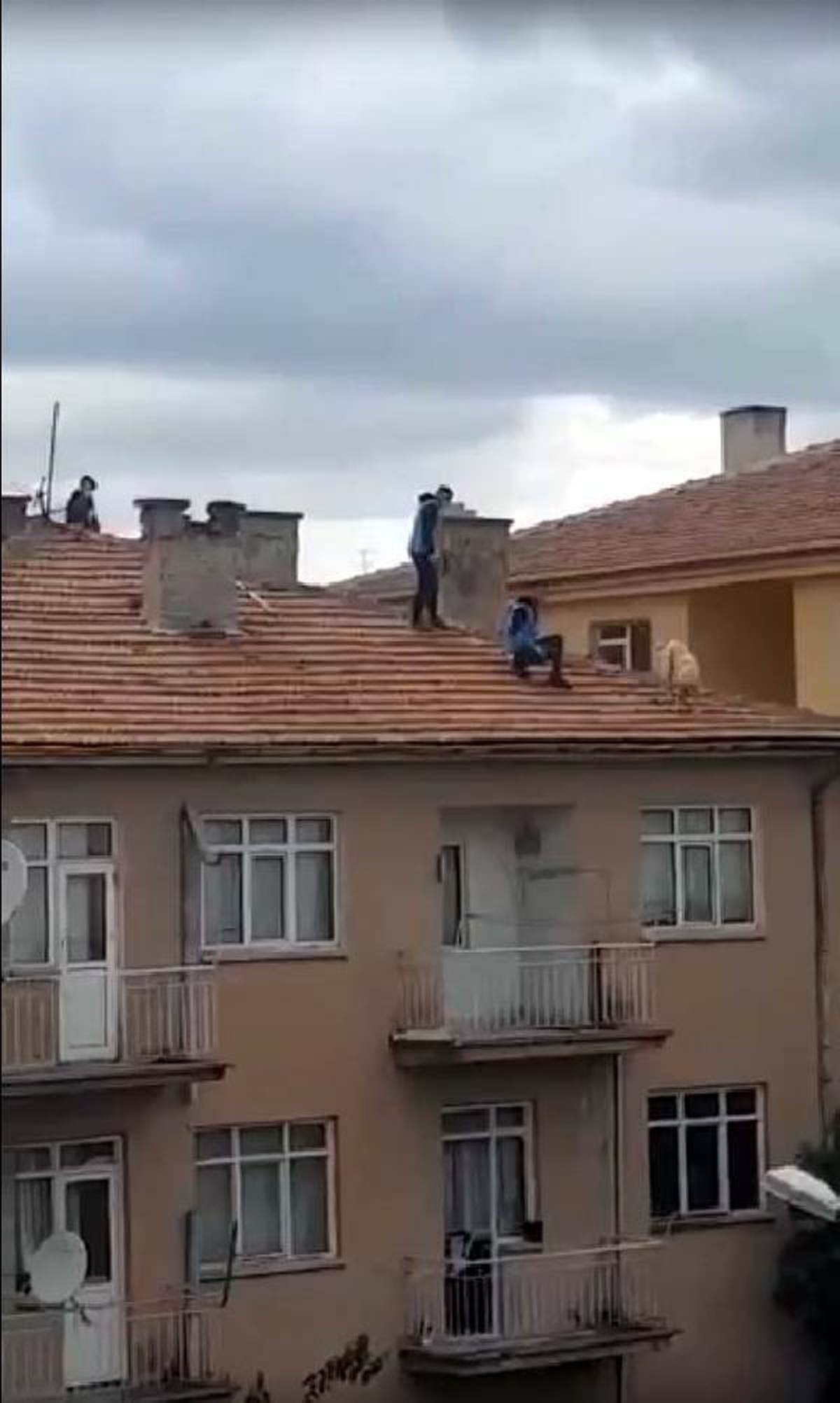 Çatıya çıkan köpeği güçlükle yakaladılar