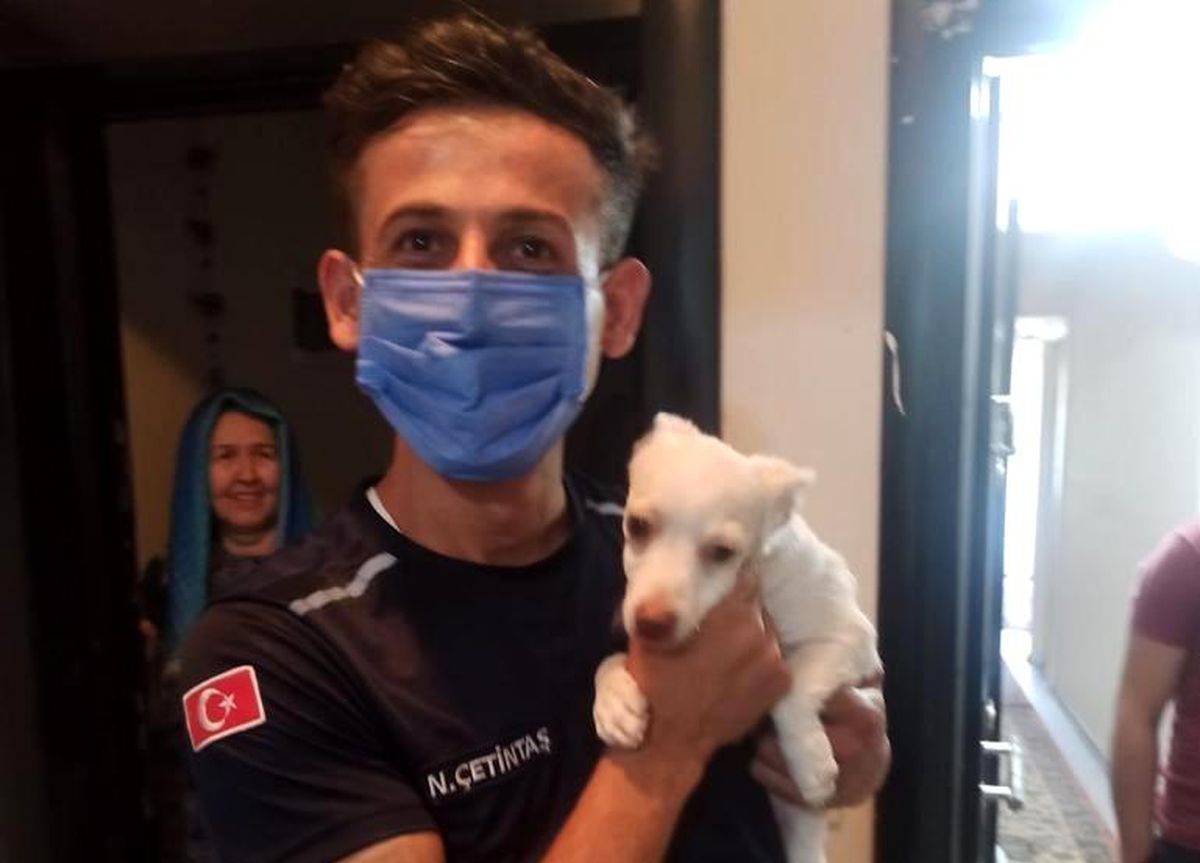 Son dakika haberleri | İtfaiye ekipleri havalandırma boşluğuna düşen köpeği kurtardı