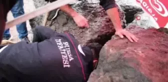 Son dakika haberi | Kedi ihbarı alan ekipler, kayayı keserek yavru kediyi annesine teslim etti