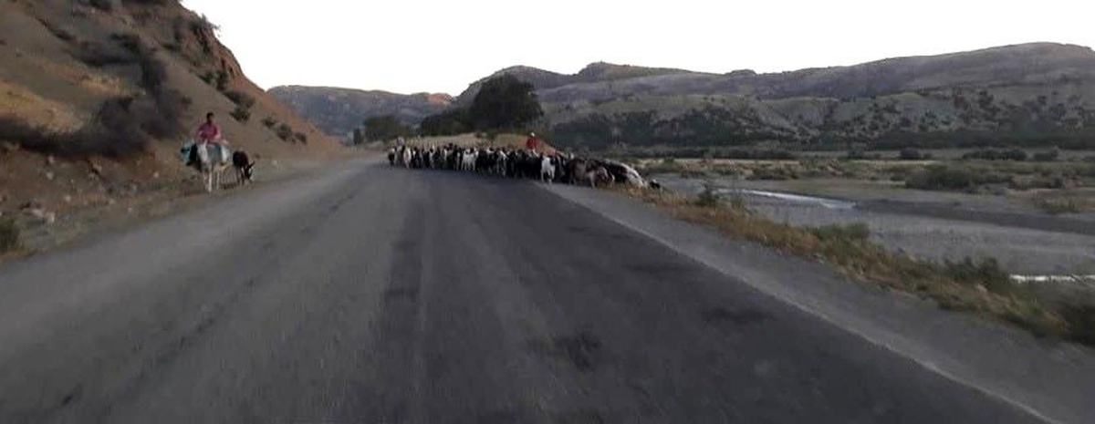 Kulp\'ta göçerlerin zorlu yayla yolculuğu