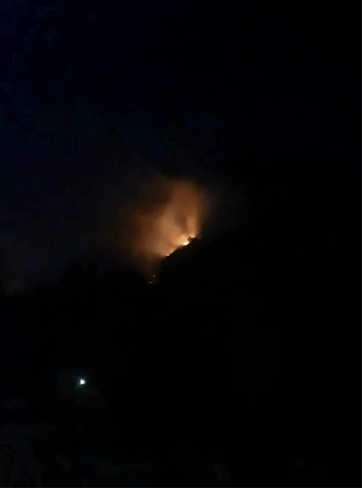 Manavgat\'ta çıkan orman yangını kontrol altına alındı