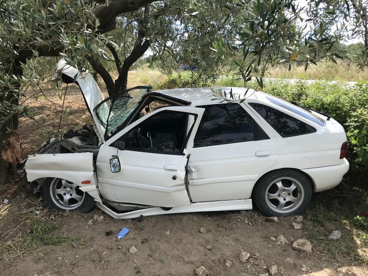Manisa\'da otomobiliyle ağaca çarpan sürücü yaralandı