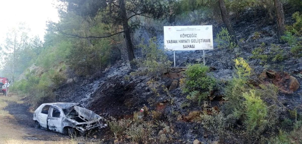 Son dakika haber: Patlayan araç orman yangınına sebep oldu