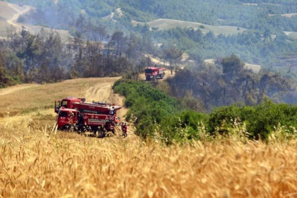 Son dakika haber: Adana'da orman yangını (2)
