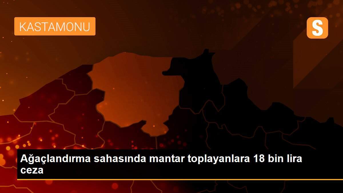 Ağaçlandırma sahasında mantar toplayanlara 18 bin lira ceza