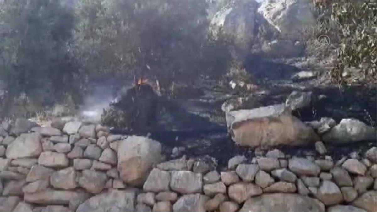 Son dakika haber | Bahçe yangını kontrol altına alındı