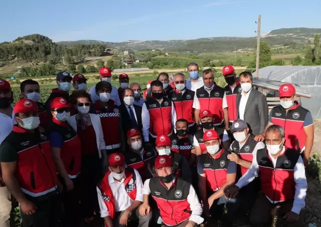 Son dakika haber! Bakan Pakdemirli, Yayladağı ilçesinde çilek hasadına katıldı Son dakika haber! Bakan Pakdemirli, Yayladağı ilçesinde çilek hasadına katıldı