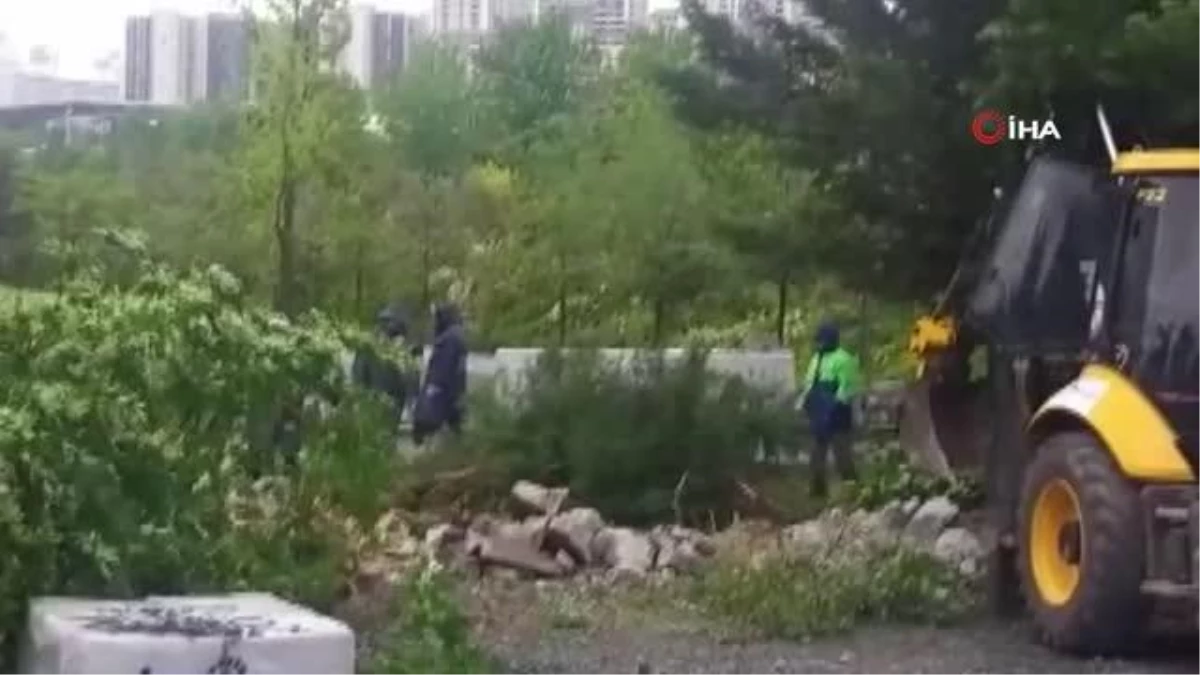 Beylikdüzü\'nde belediye ekiplerinin 160 ağacı söktüğü iddiası tepki topladı