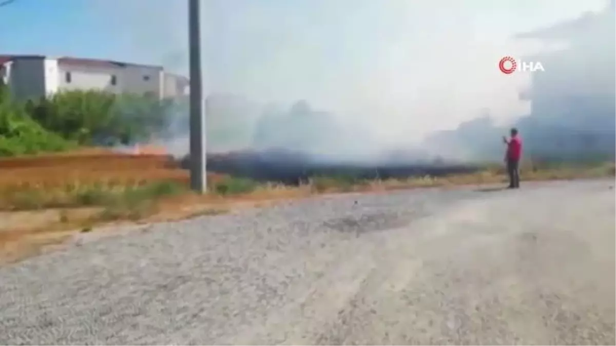 Son dakika haberleri... Buğday tarlasında çıkan yangın tarla sahibini gözyaşlarına boğdu