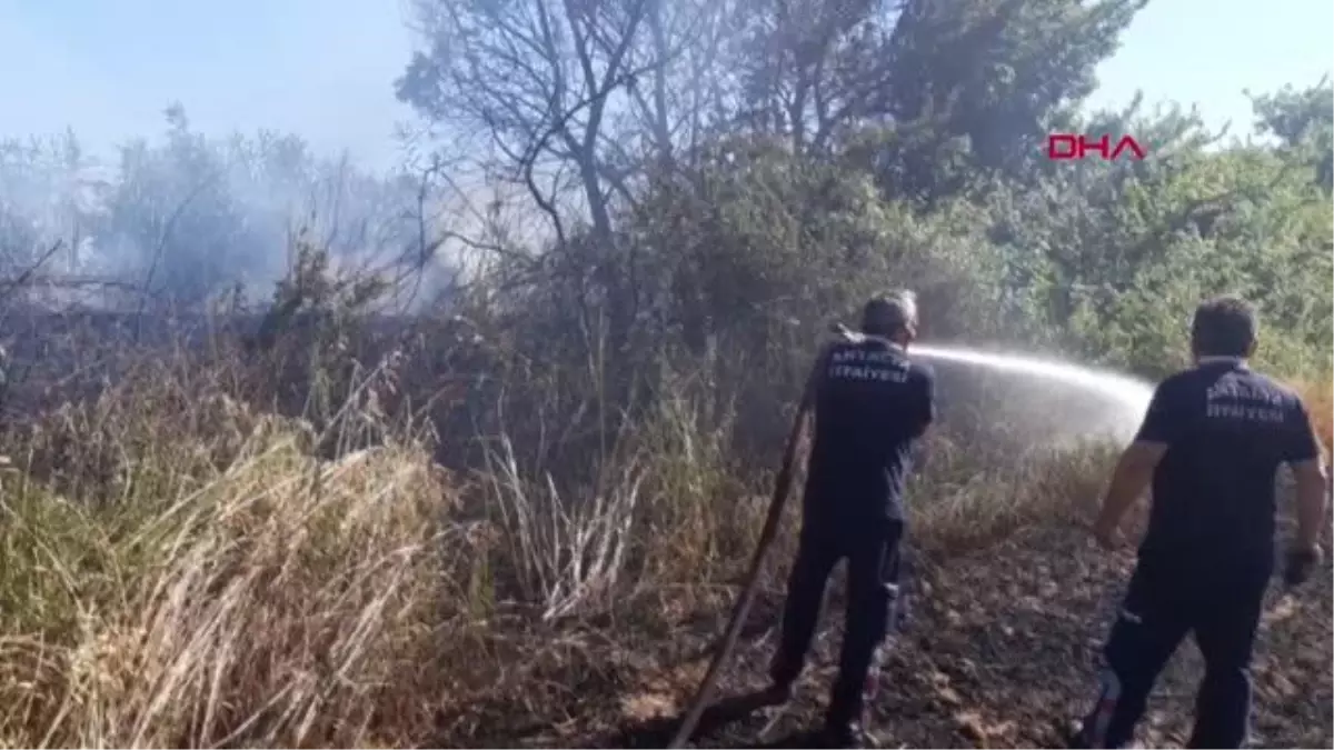 HASADI YAPILACAK, BUĞDAY TARLASI YANDI